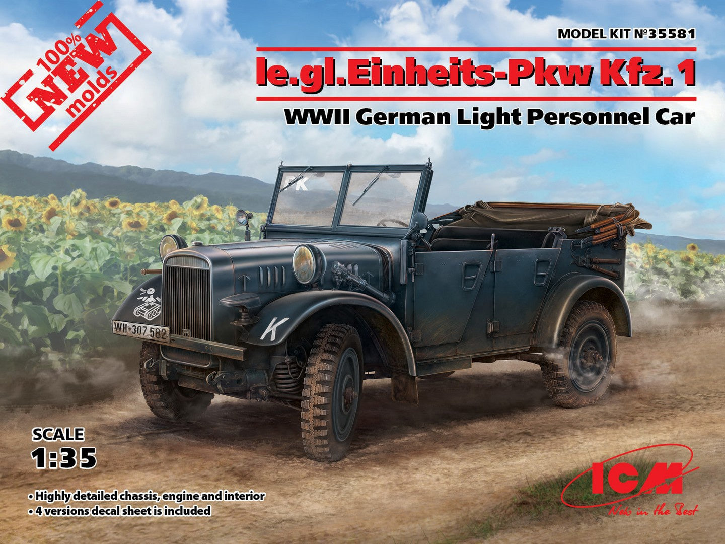 ICM35581