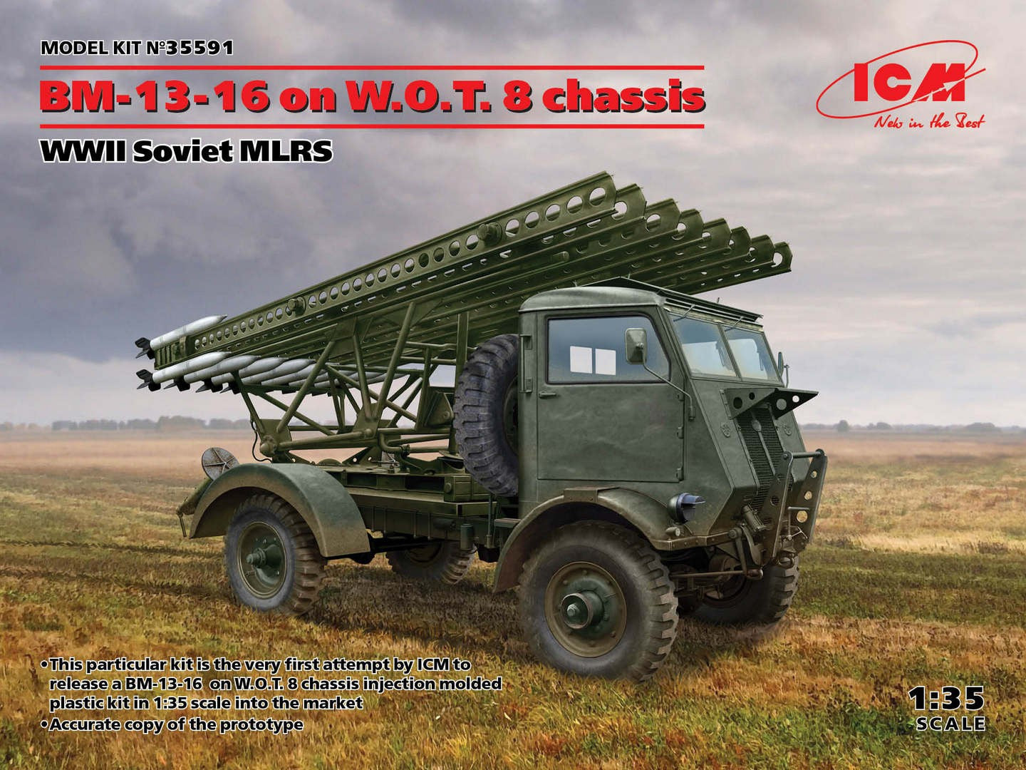 ICM35591