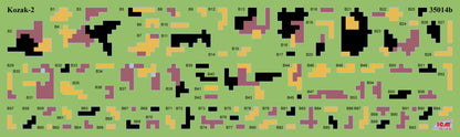 ICM35748