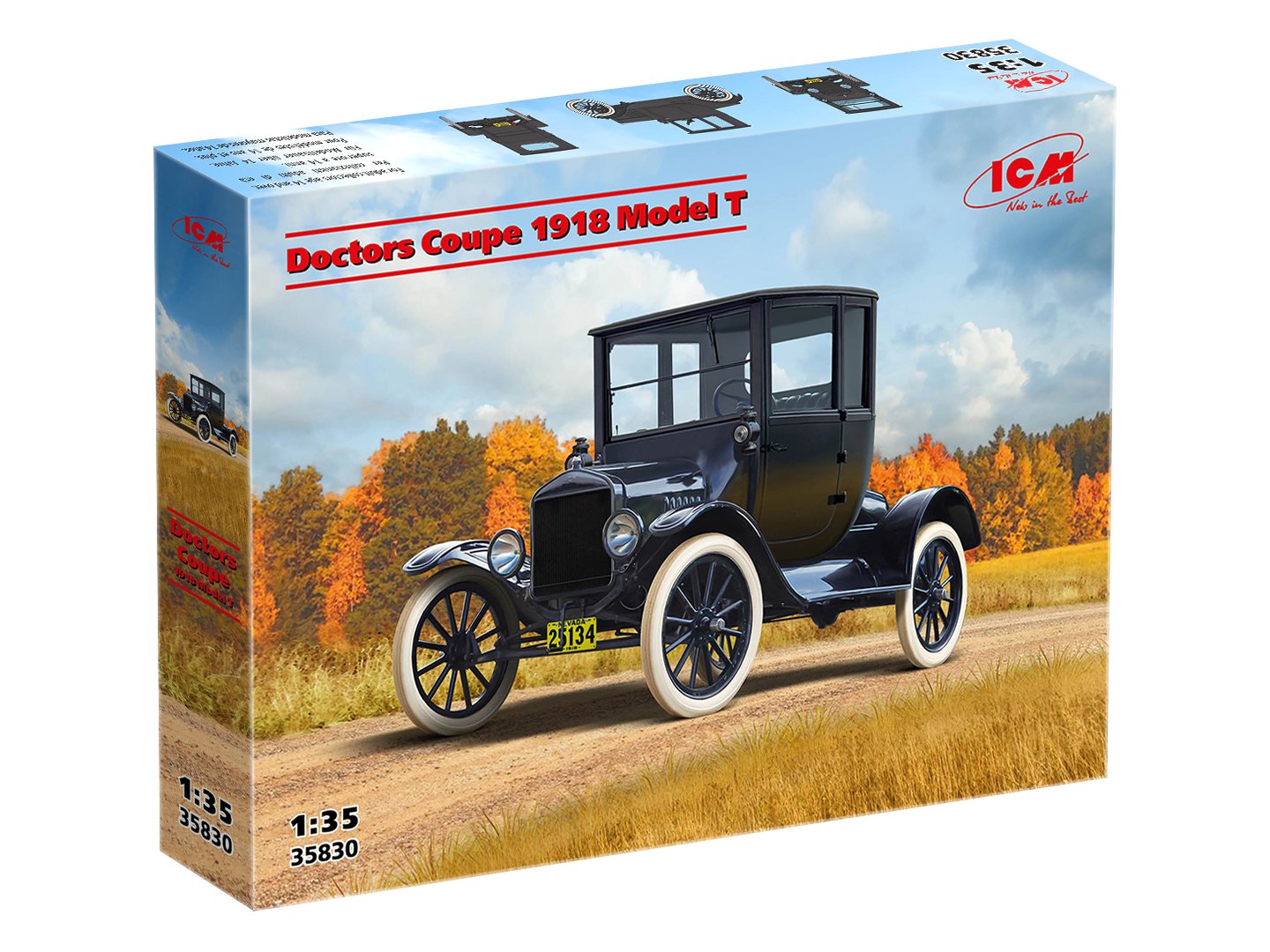 ICM35830