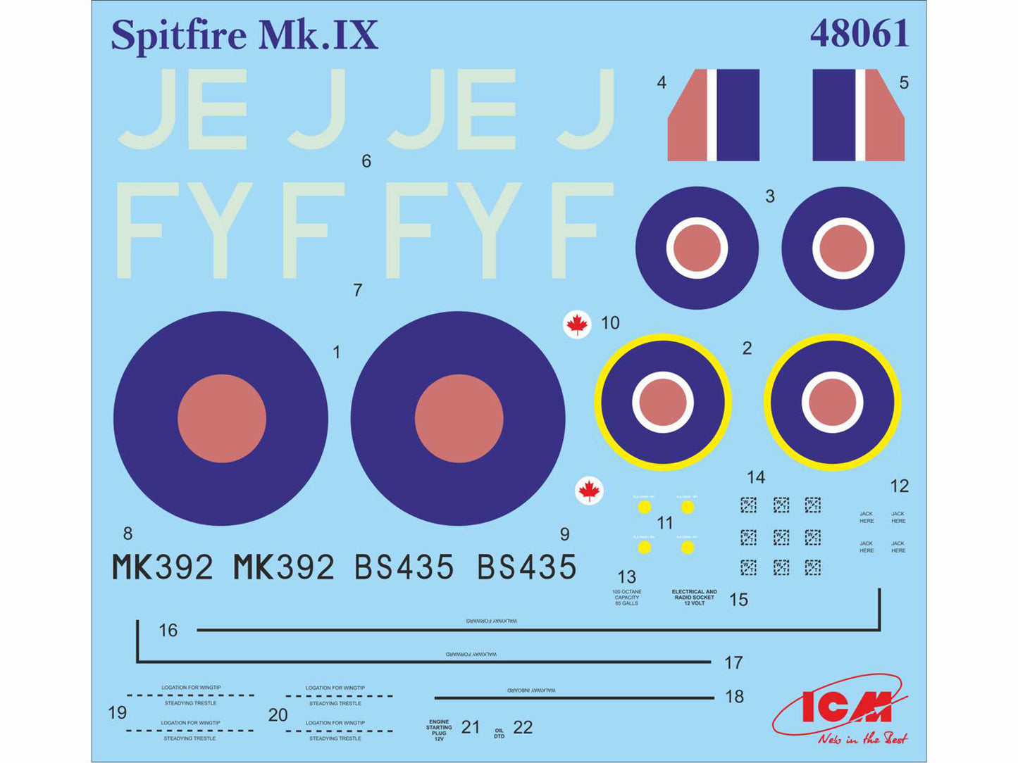 ICM48061