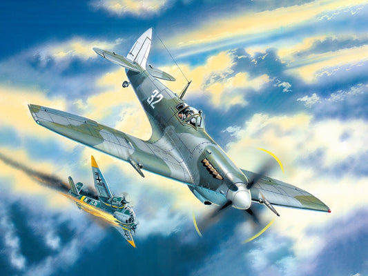 ICM48066