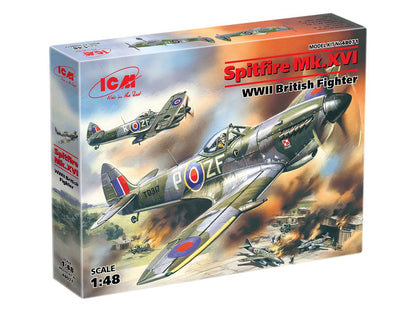 ICM48071
