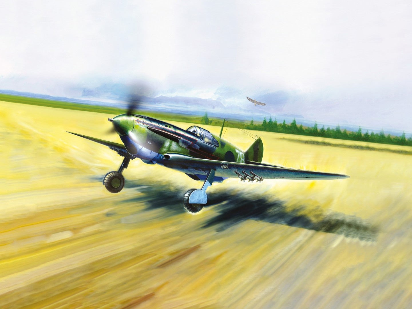 ICM48093