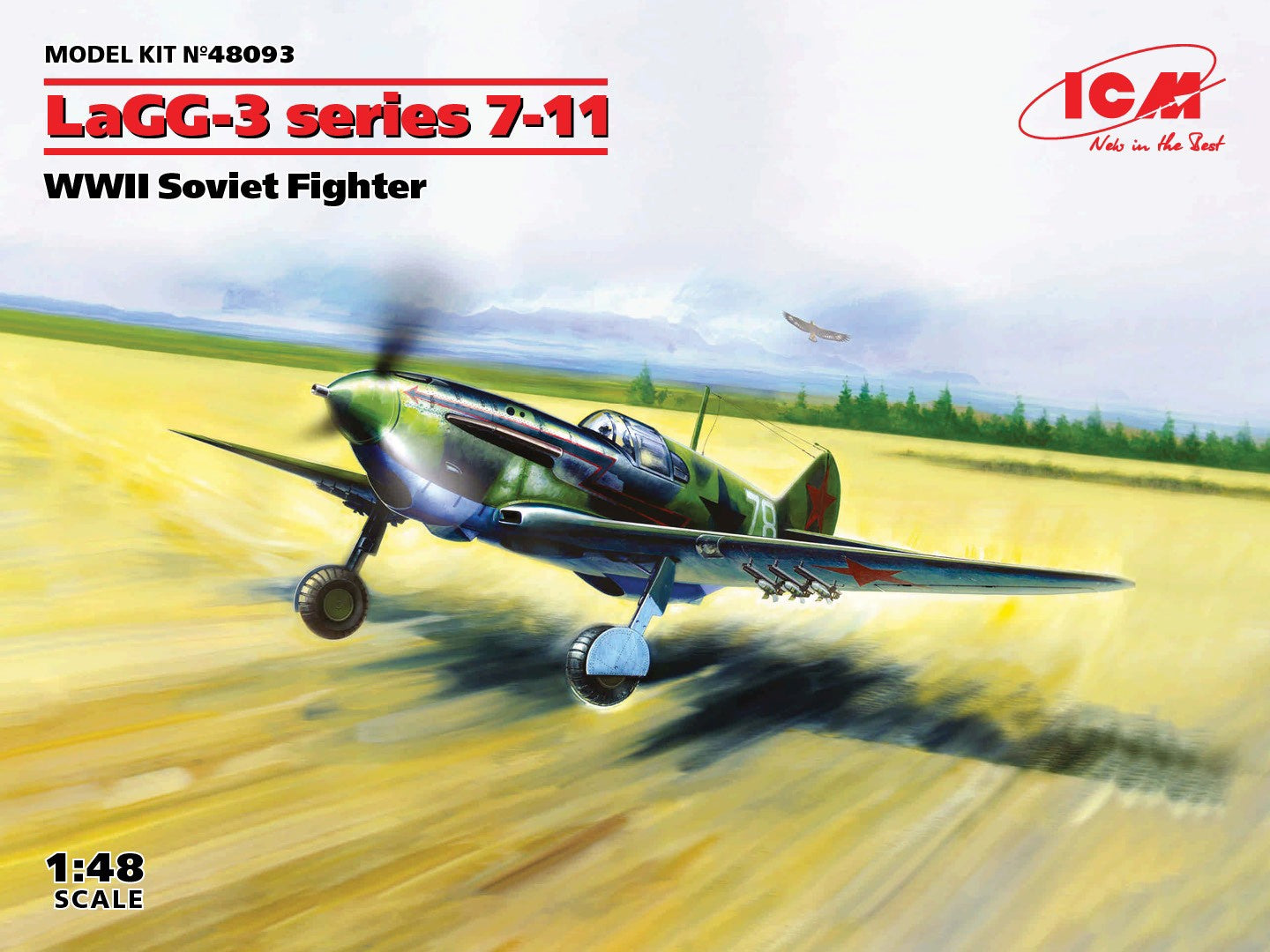 ICM48093