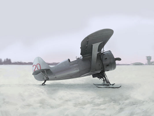 ICM48096