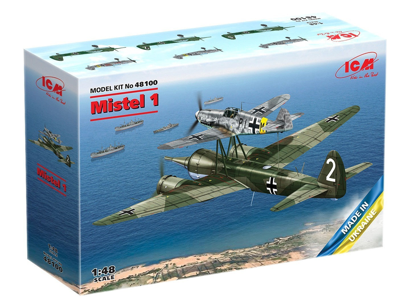 ICM48100