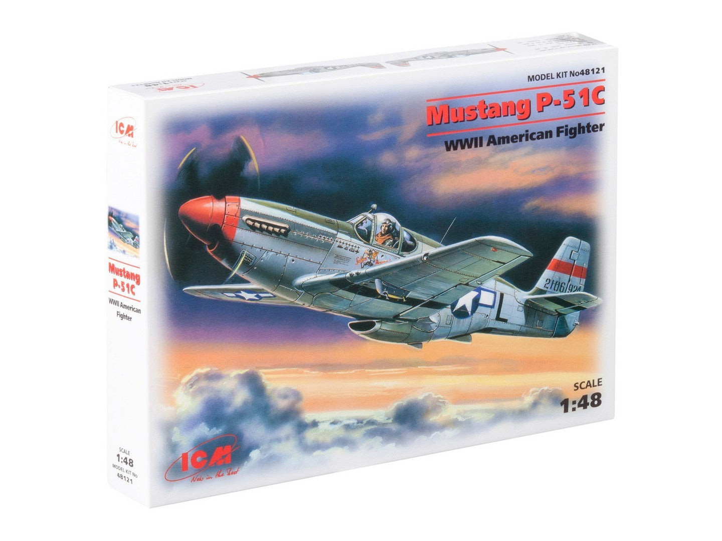 ICM48121