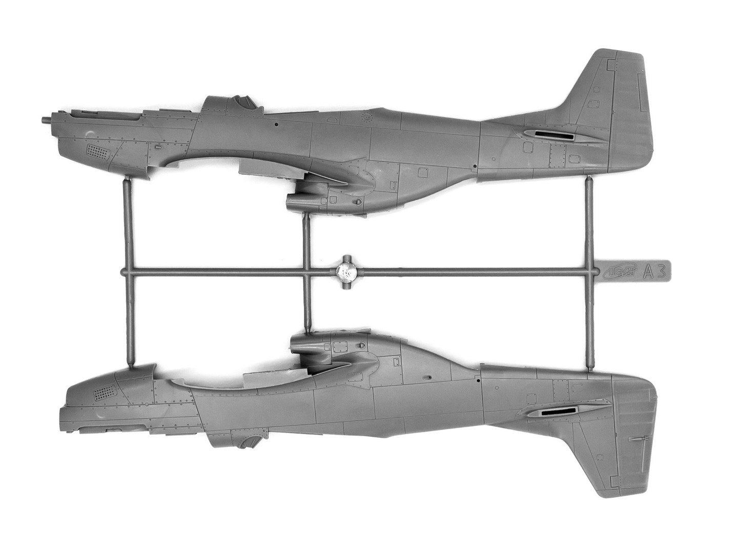 ICM48154