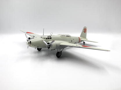 ICM48195