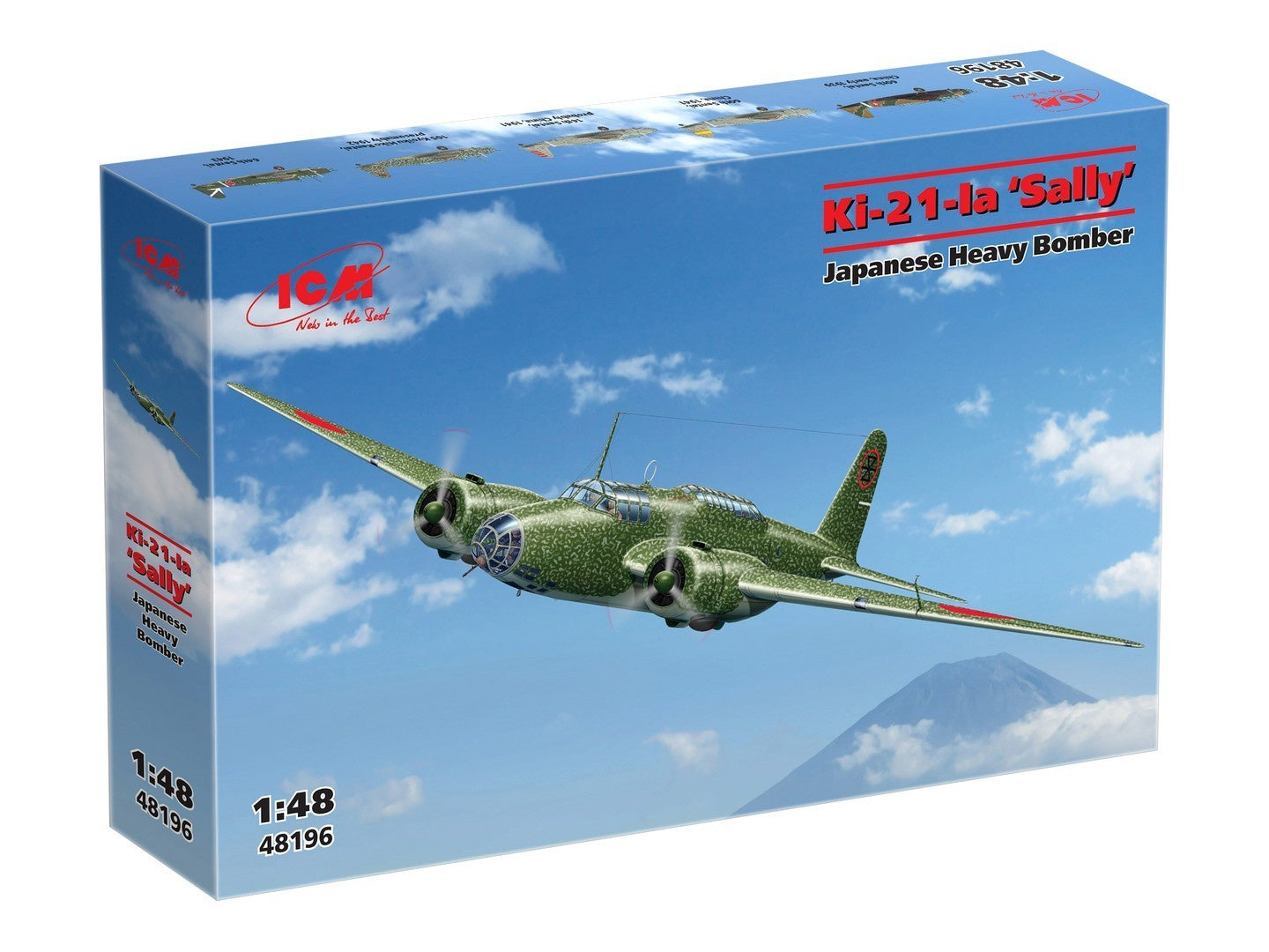ICM48196