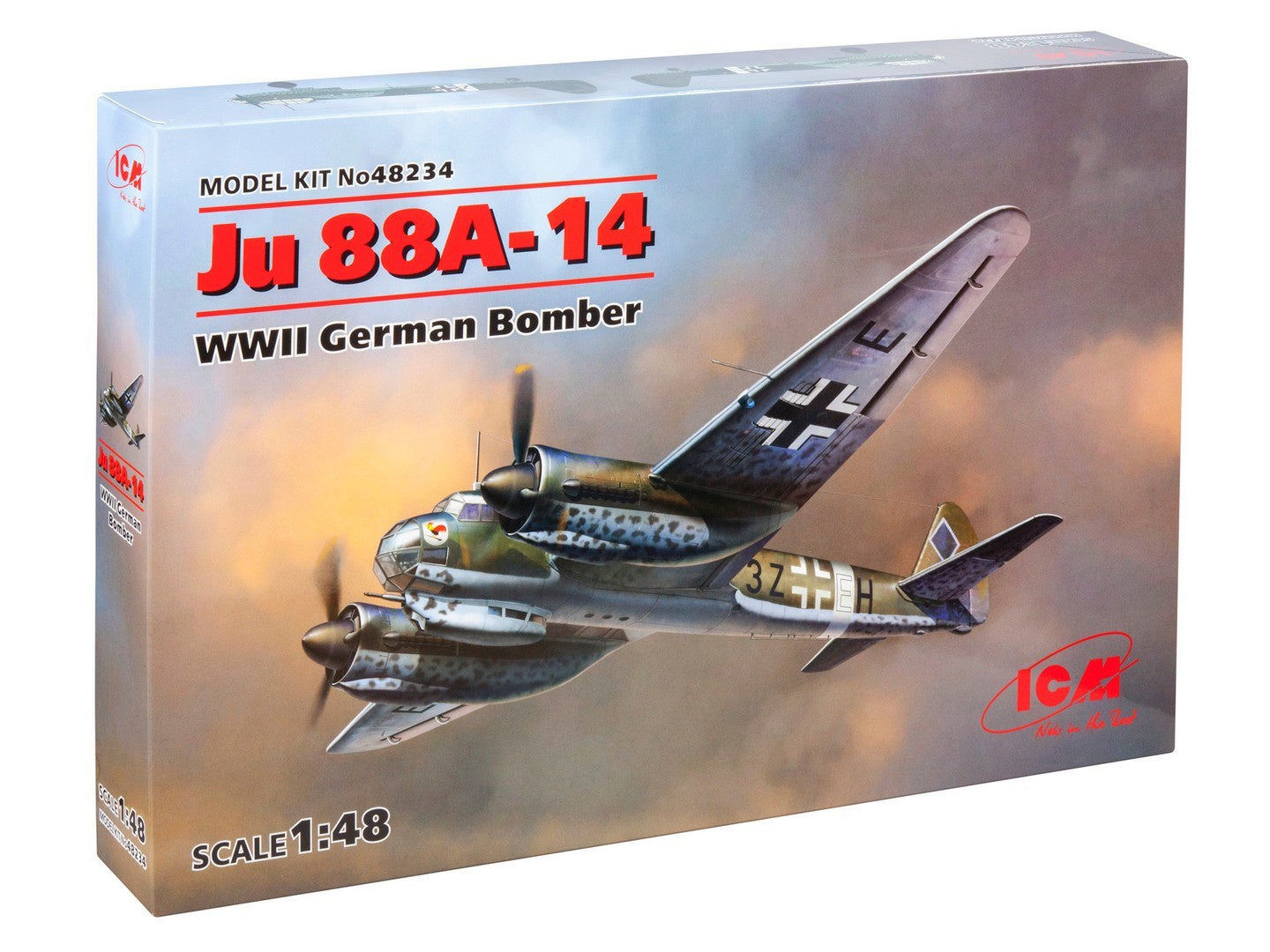 ICM48234