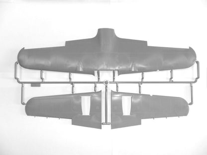 ICM48244