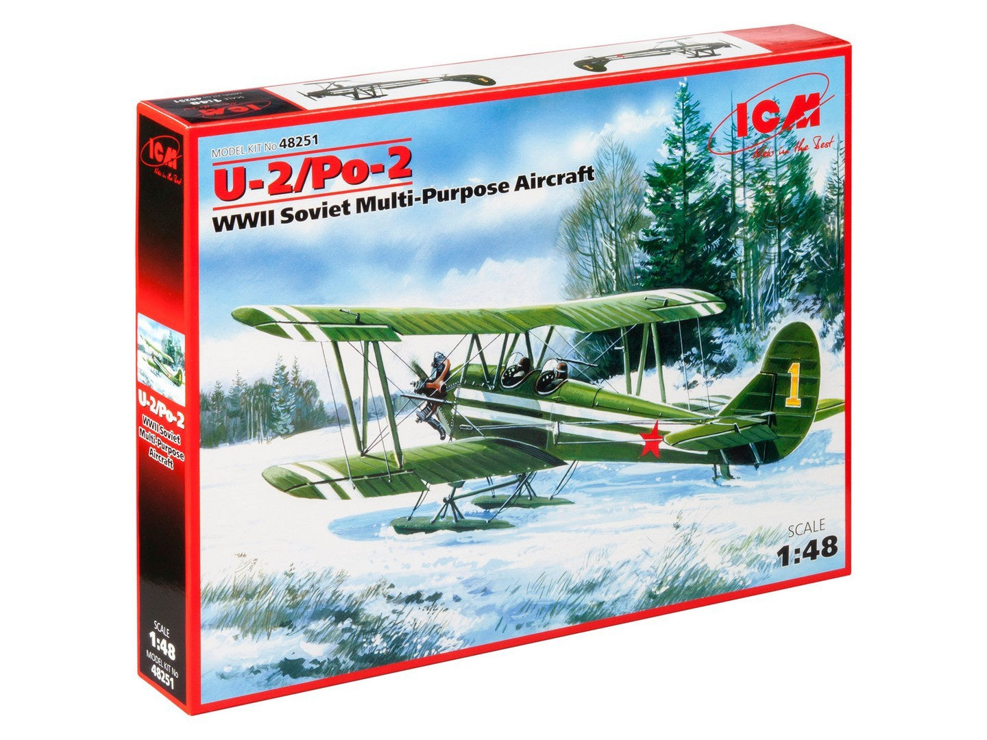 ICM48251