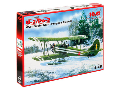ICM48251
