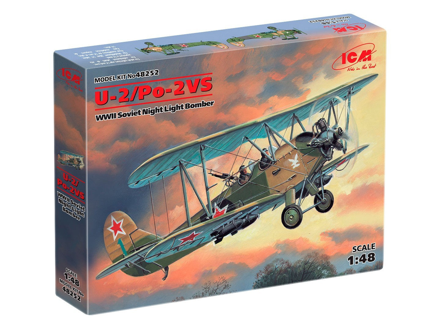 ICM48252