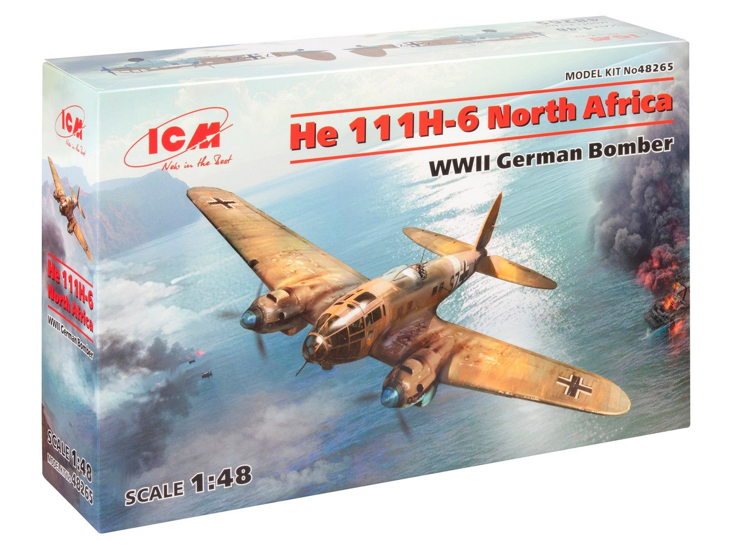ICM48265