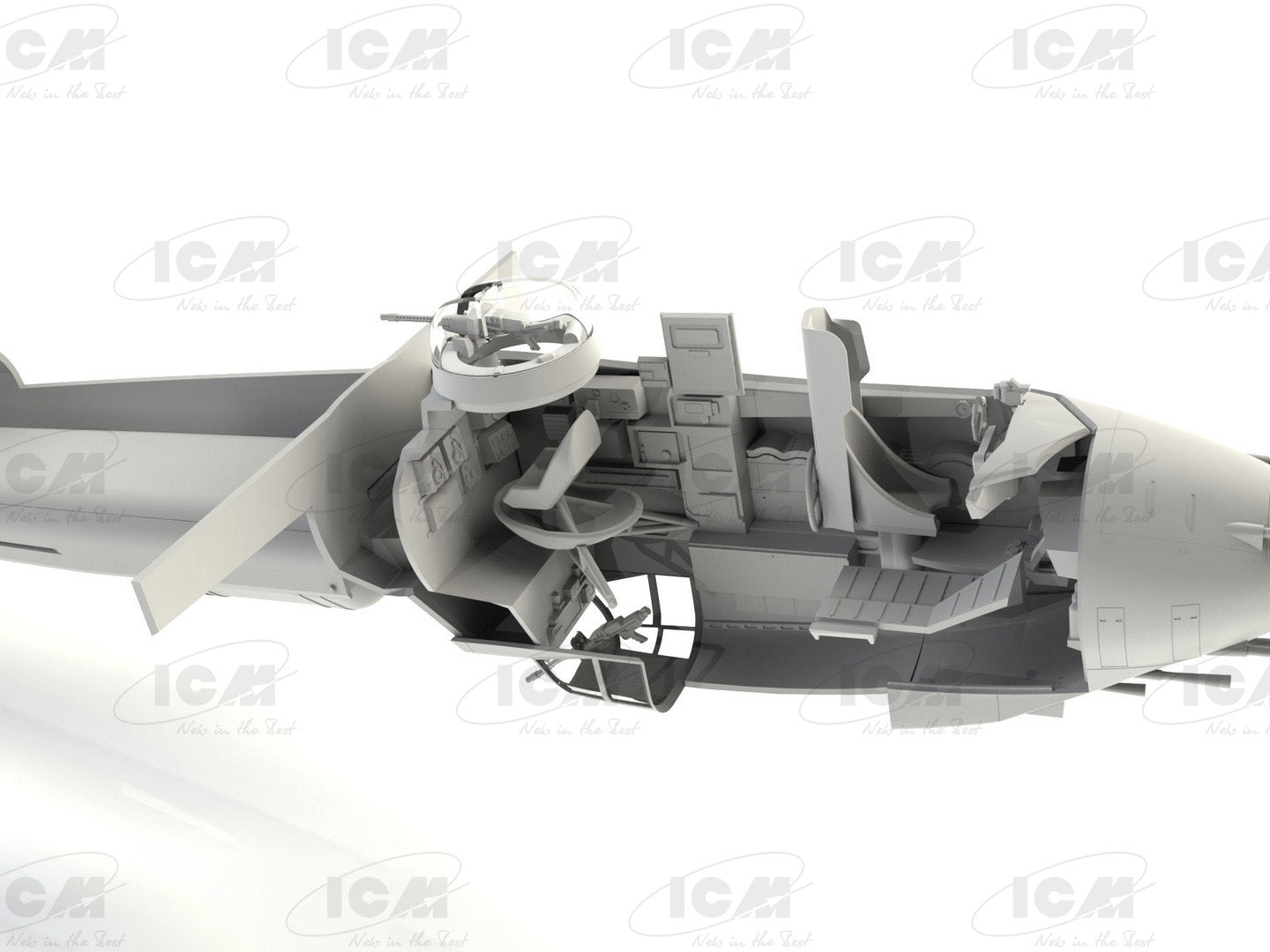 ICM48272