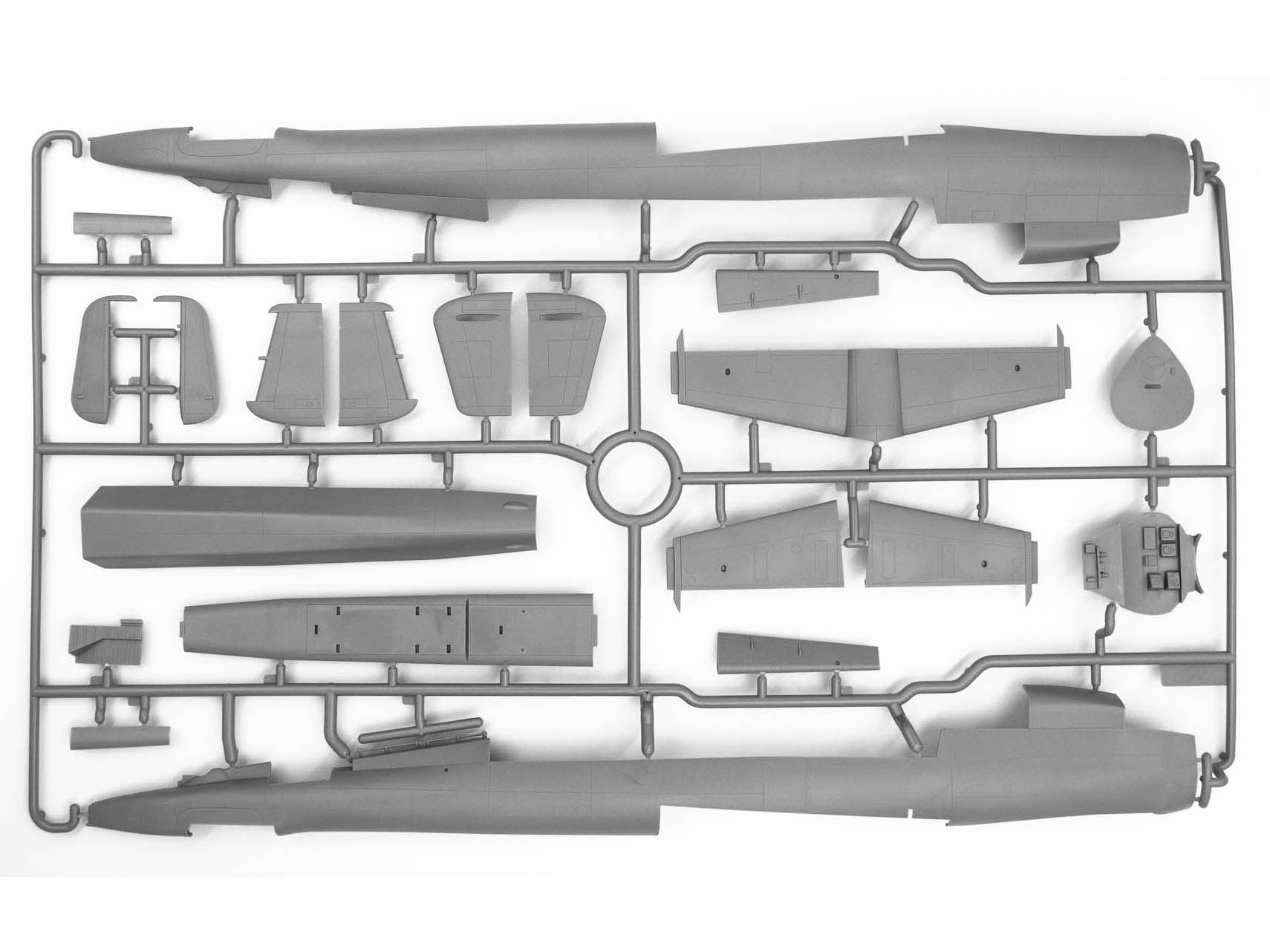 ICM48273