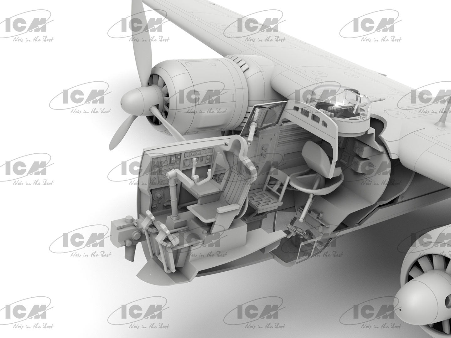ICM48273
