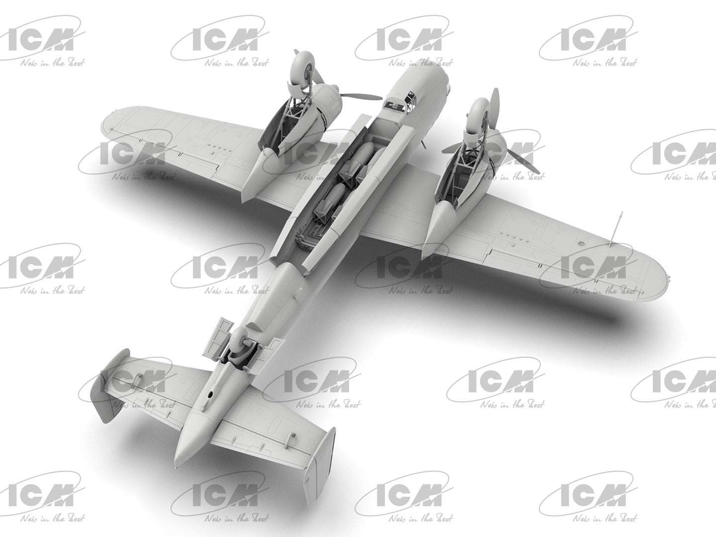 ICM48273