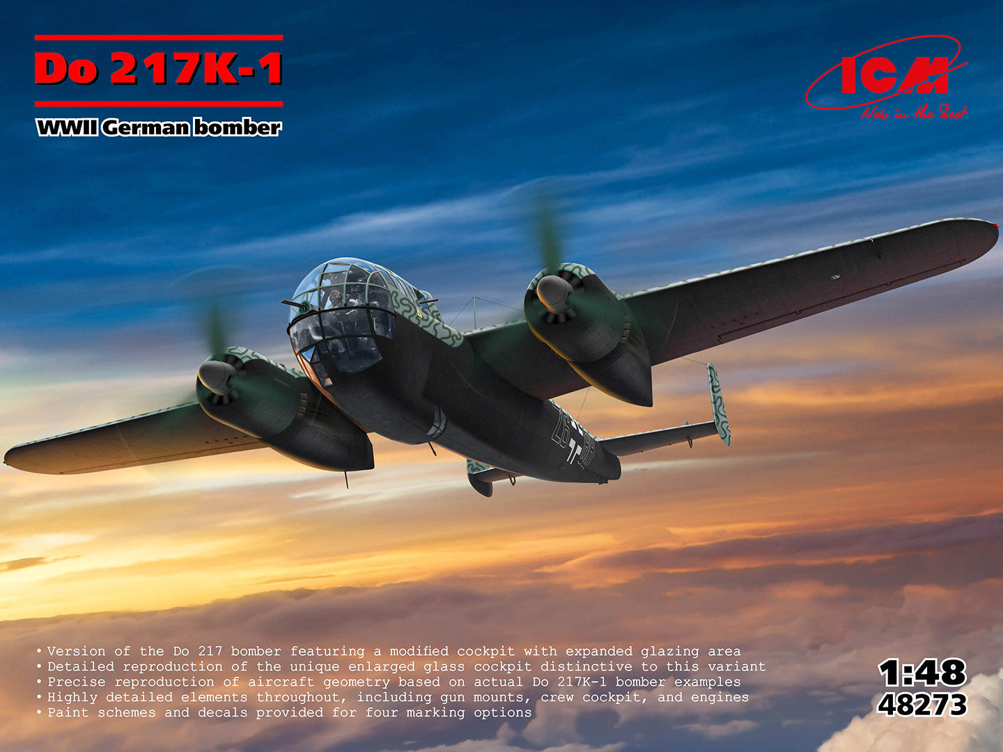 ICM48273