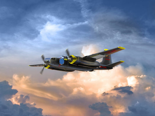 ICM48284