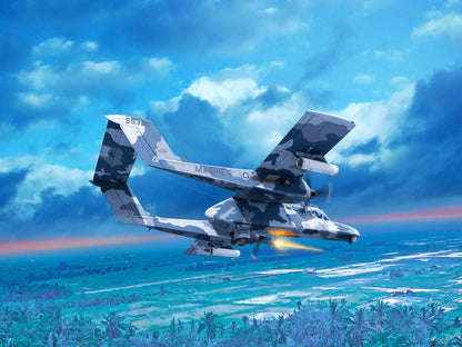ICM48306