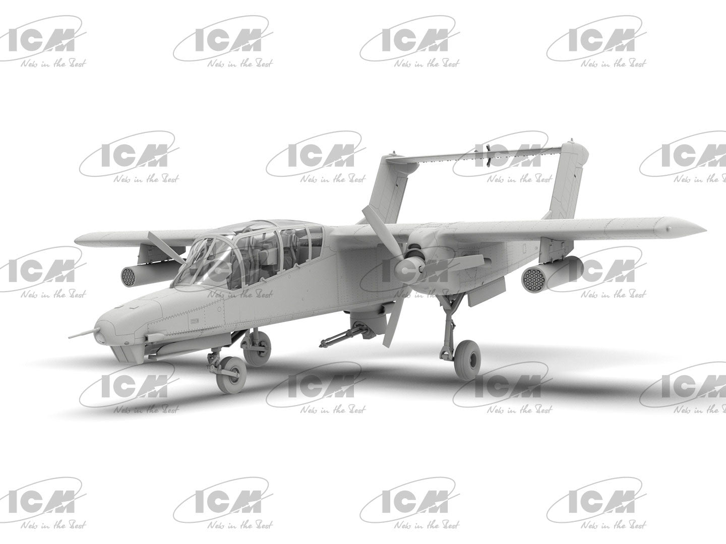 ICM48306