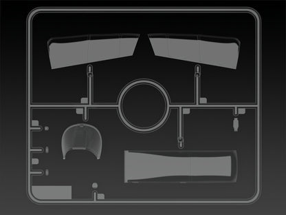 ICM48306