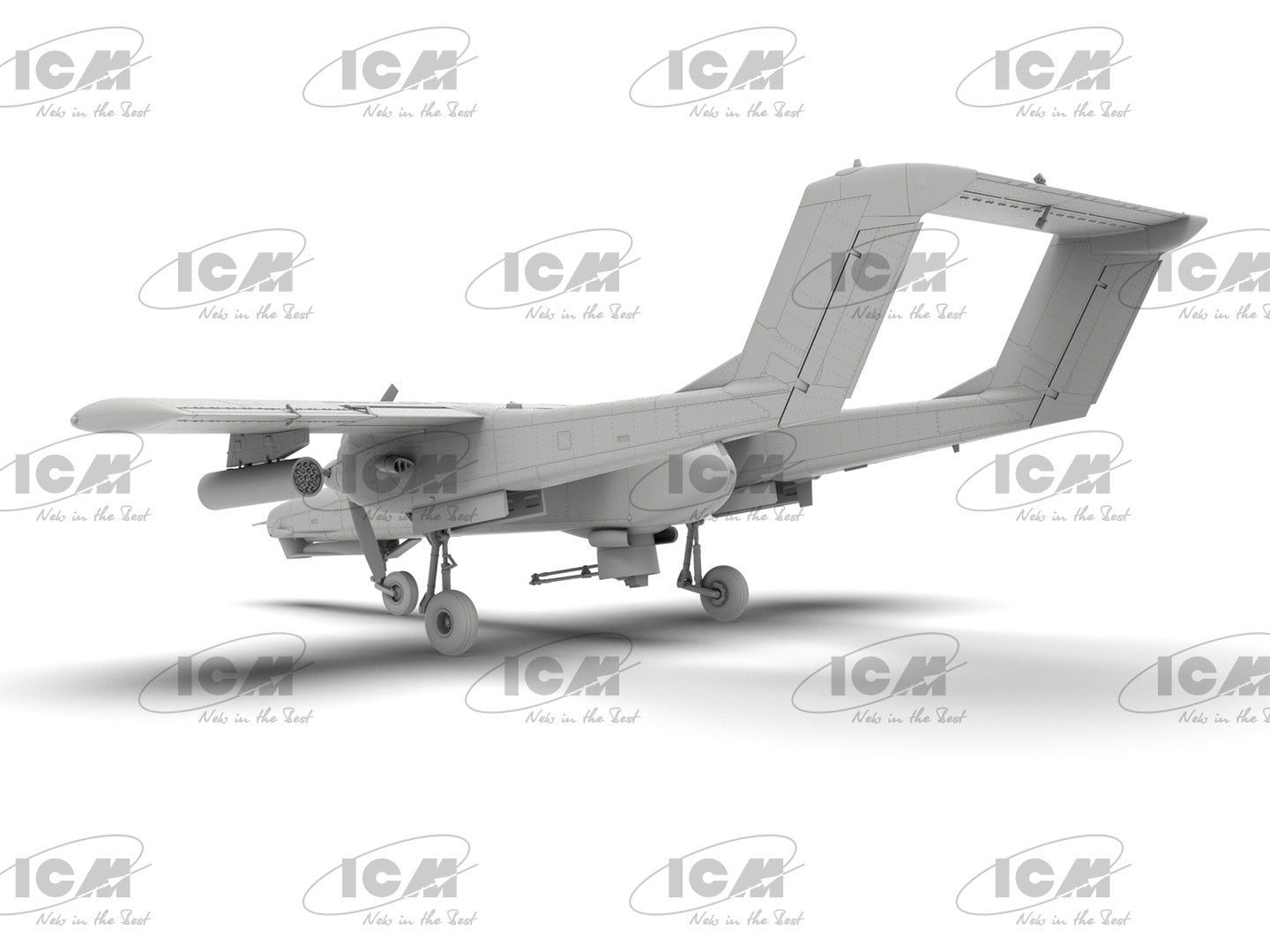 ICM48306