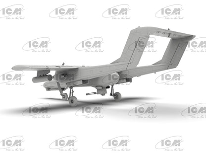 ICM48306