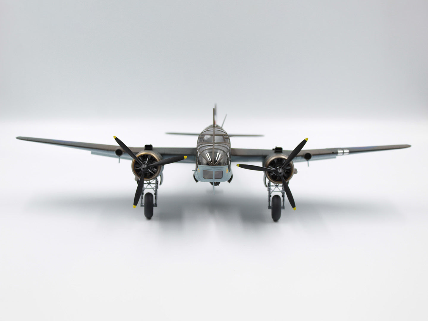 ICM48310