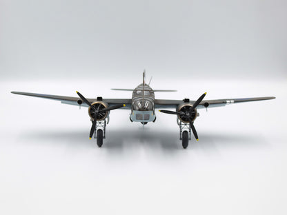 ICM48310