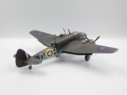 ICM48310