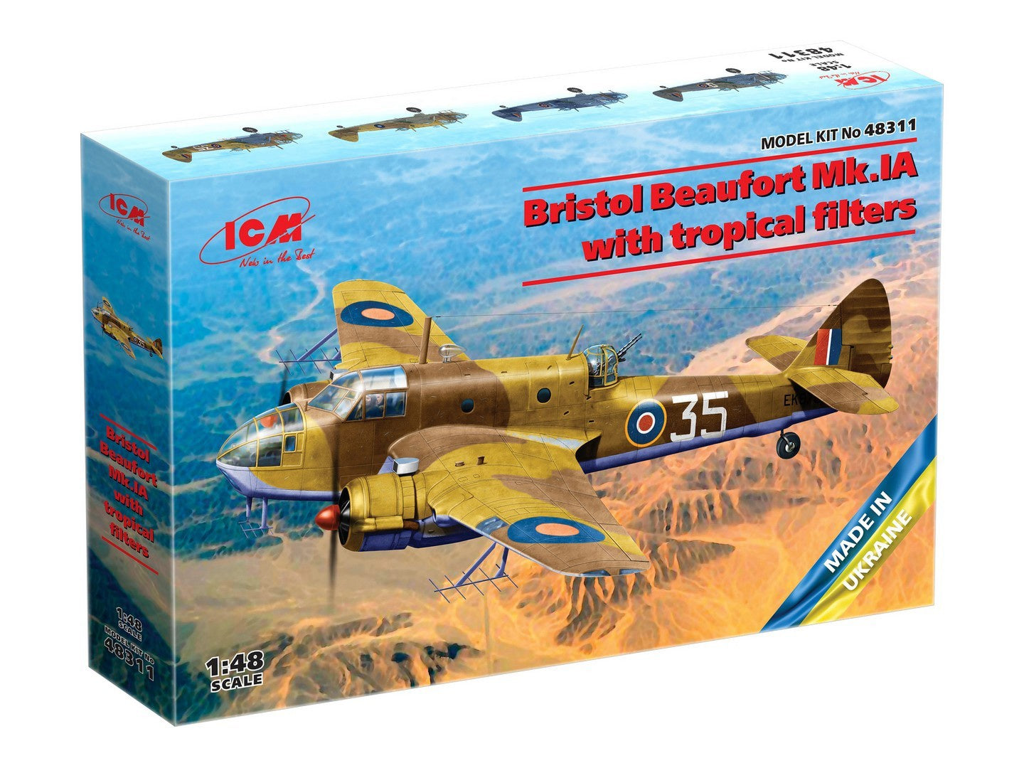 ICM48311