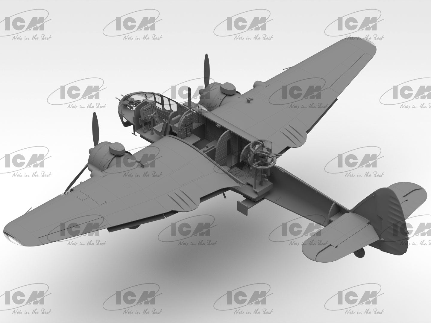 ICM48311