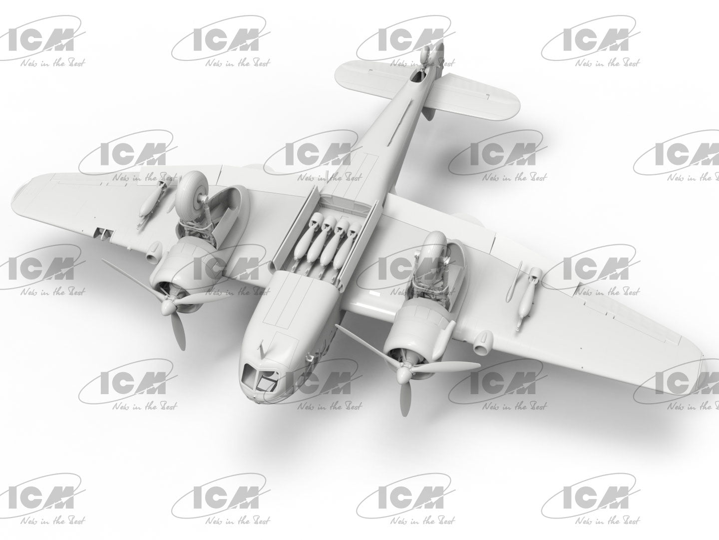 ICM48314