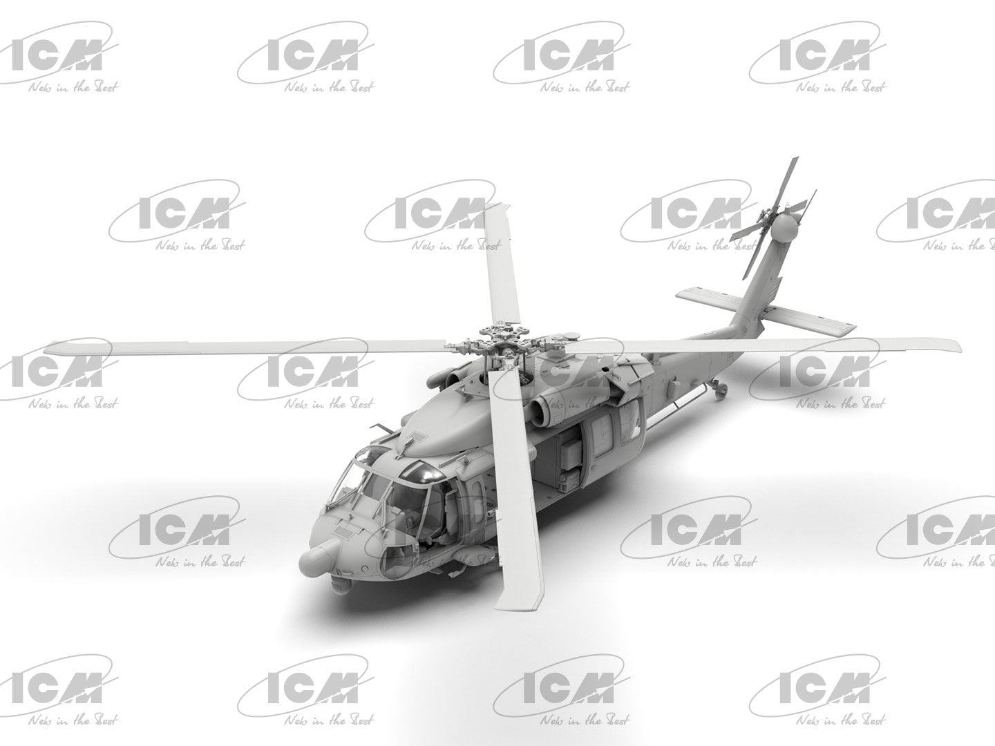 ICM48363