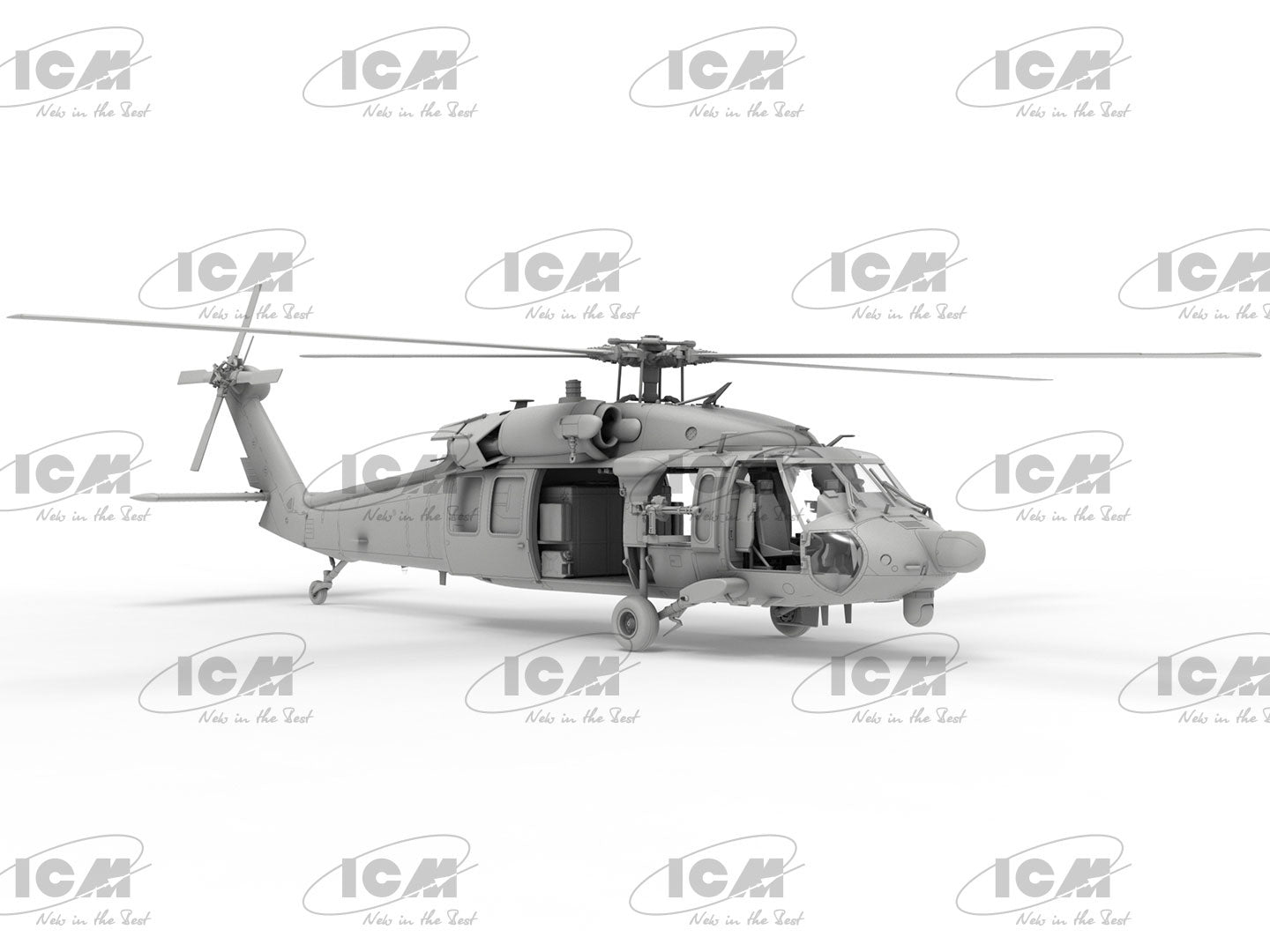 ICM48363