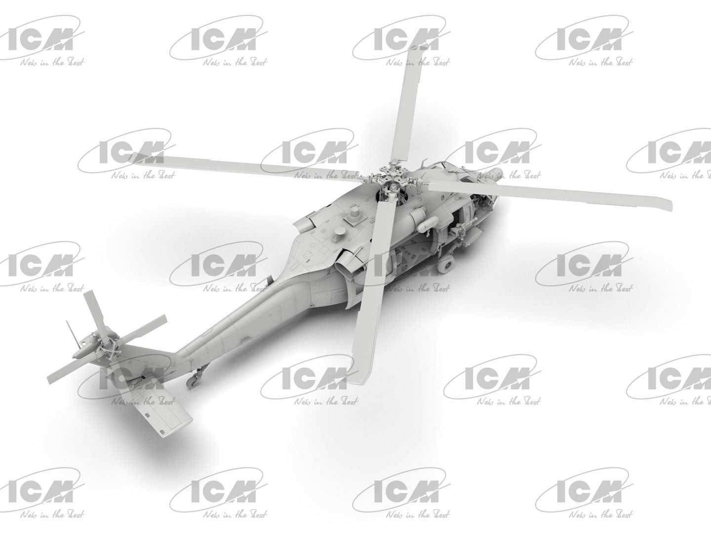 ICM48363