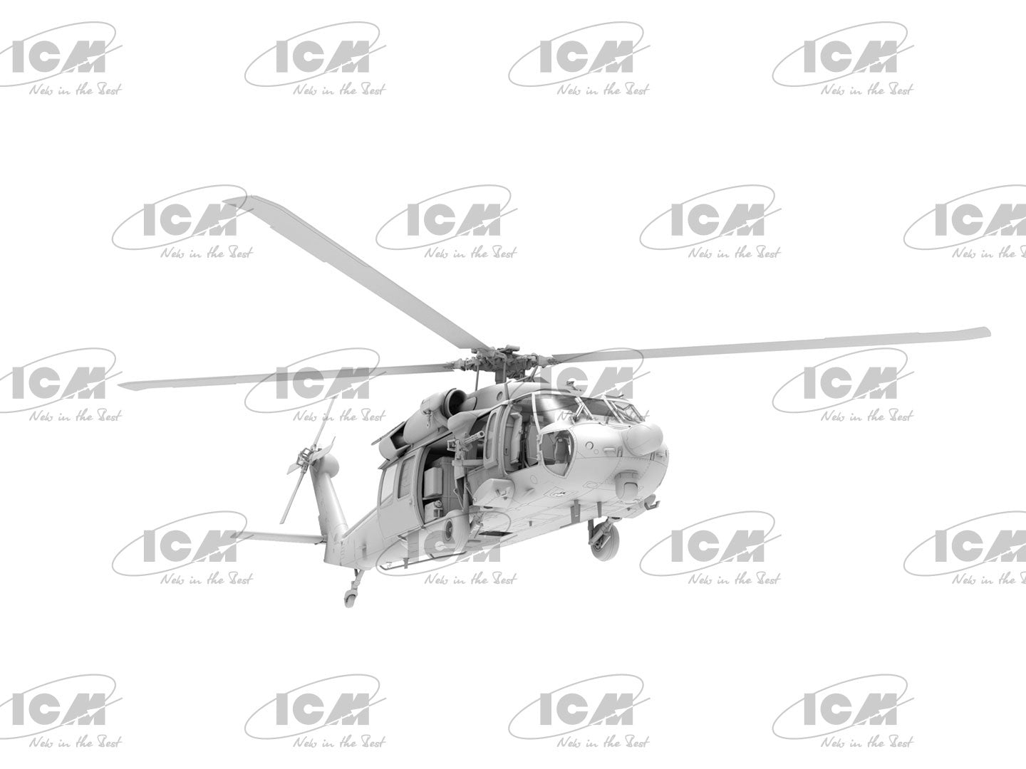 ICM48363