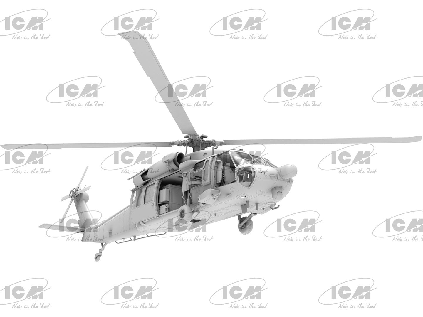ICM48363