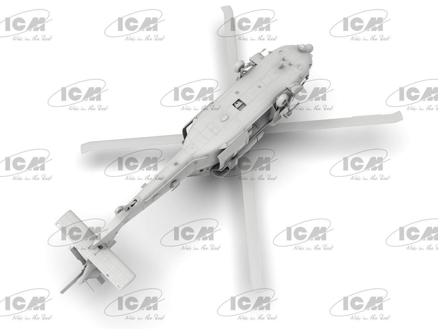 ICM48363