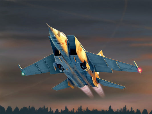 ICM48901