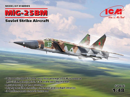 ICM48905