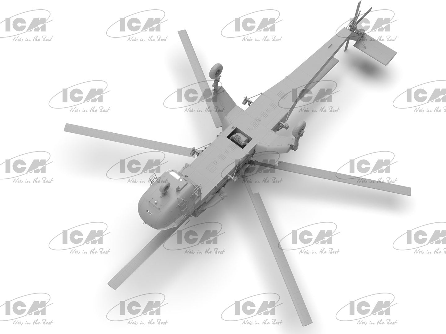 ICM53054