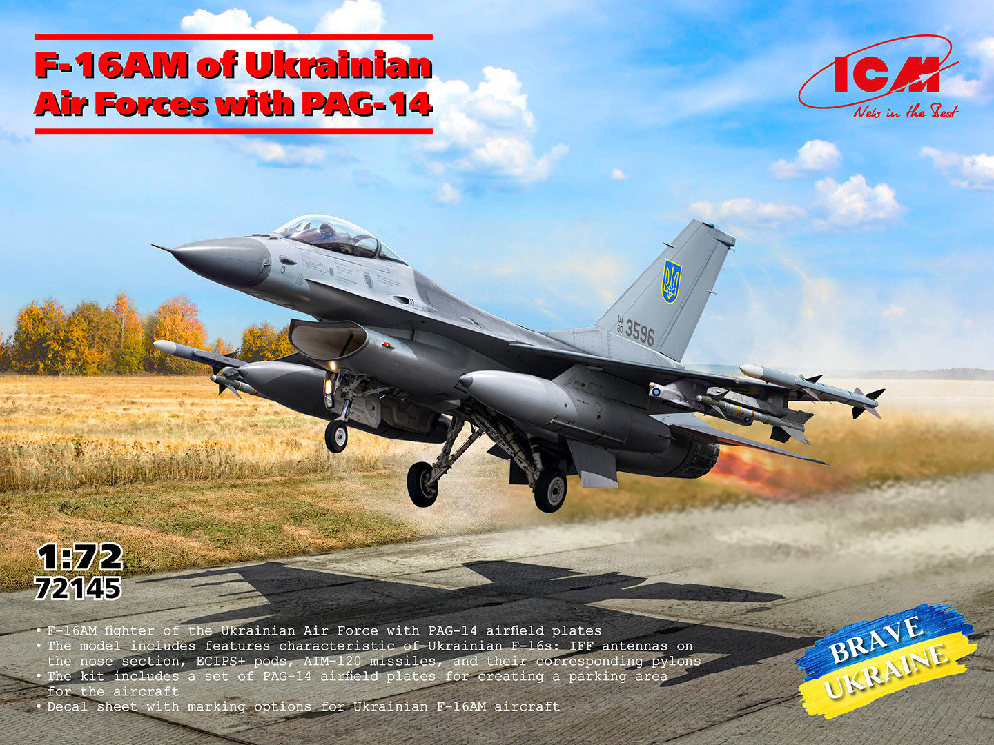 ICM72145