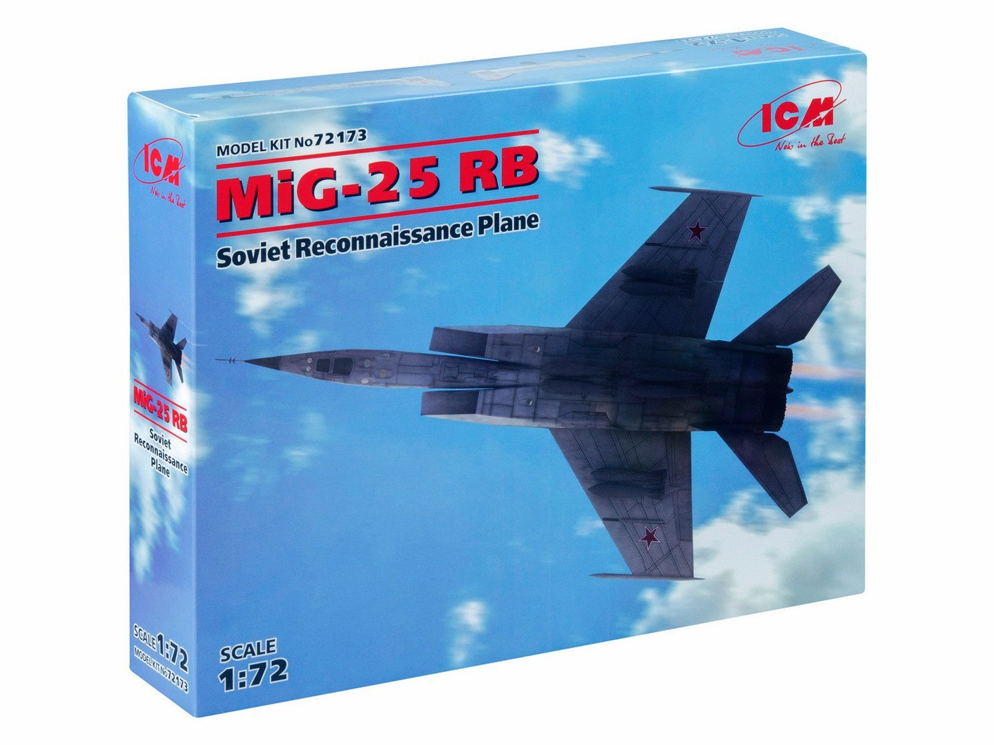 ICM72173