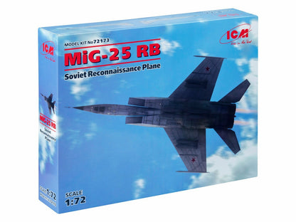 ICM72173